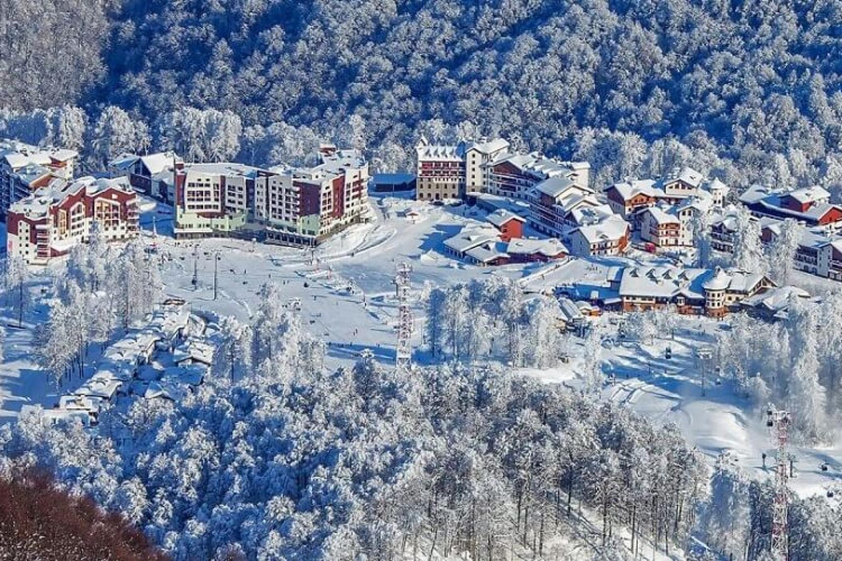 Зимний сочи. Красная Поляна Сочи. Красная Поляна Сочи зима. Курорт Сочи зима красная Поляна. Красная Поляна Сочи зимой.